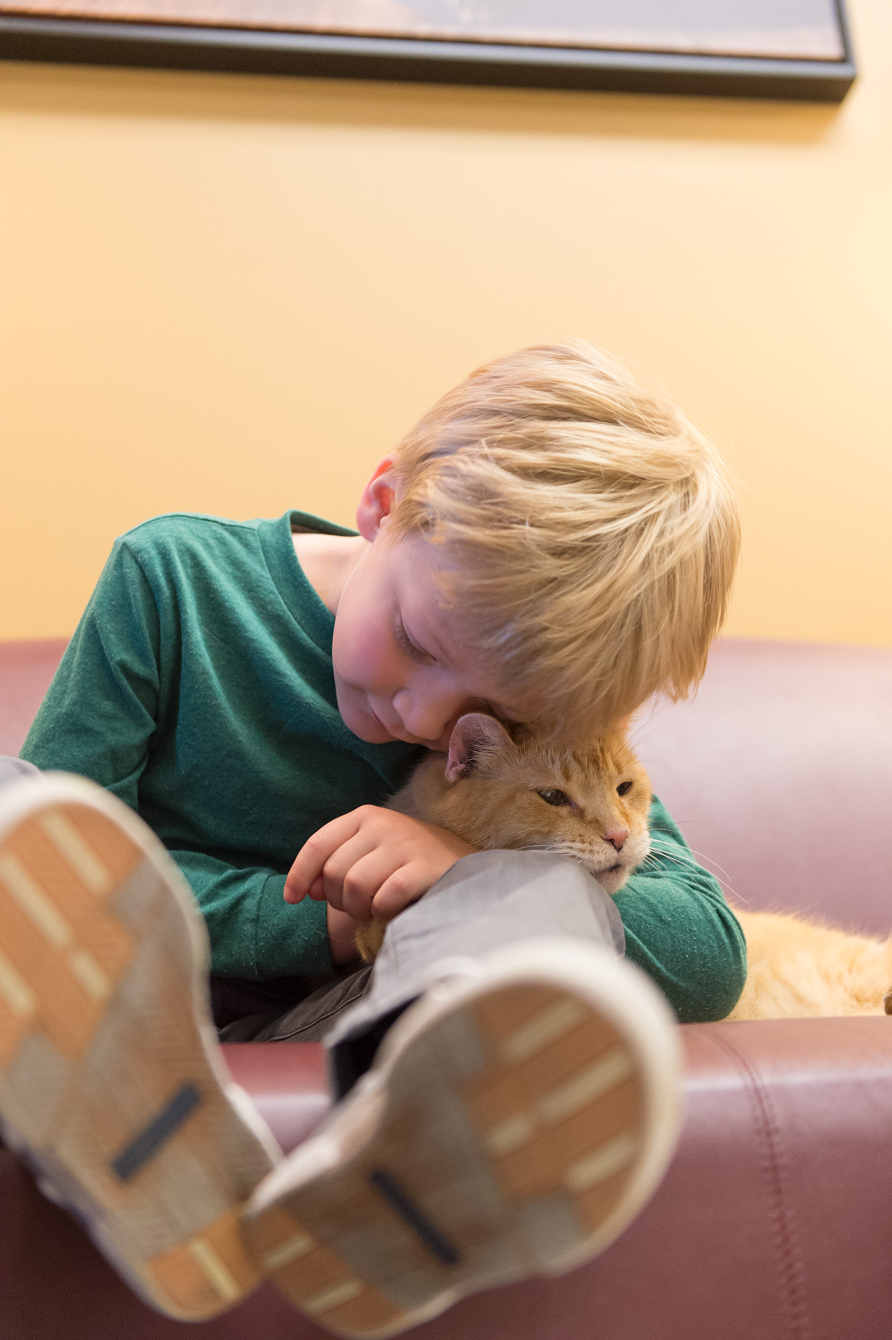 a little boy hugs a yellow cat