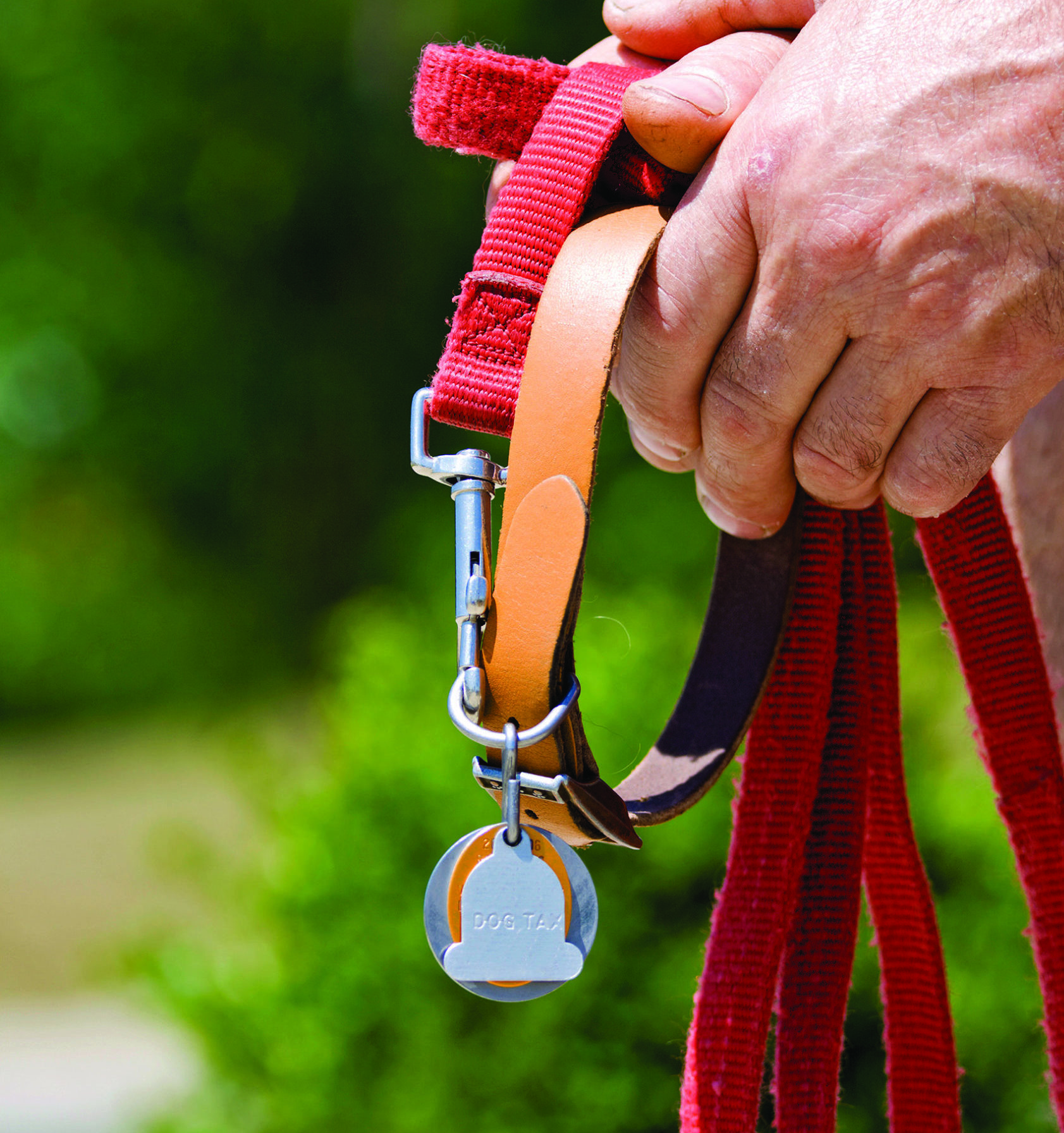a senior's hands holding an empty collar