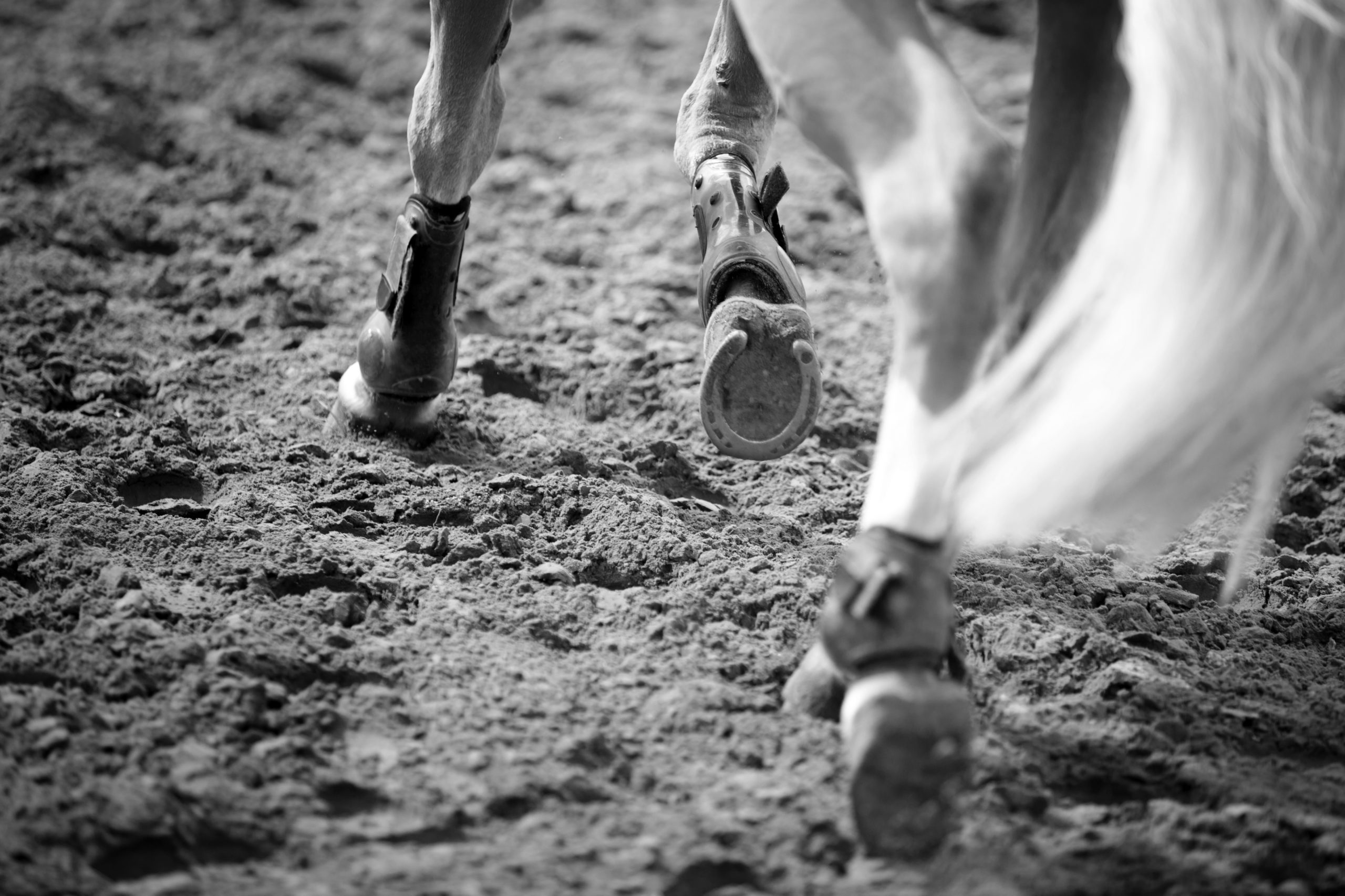 a close up picture of a horse's hooves as he runs
