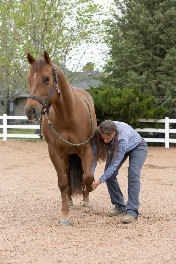 Colorado State University