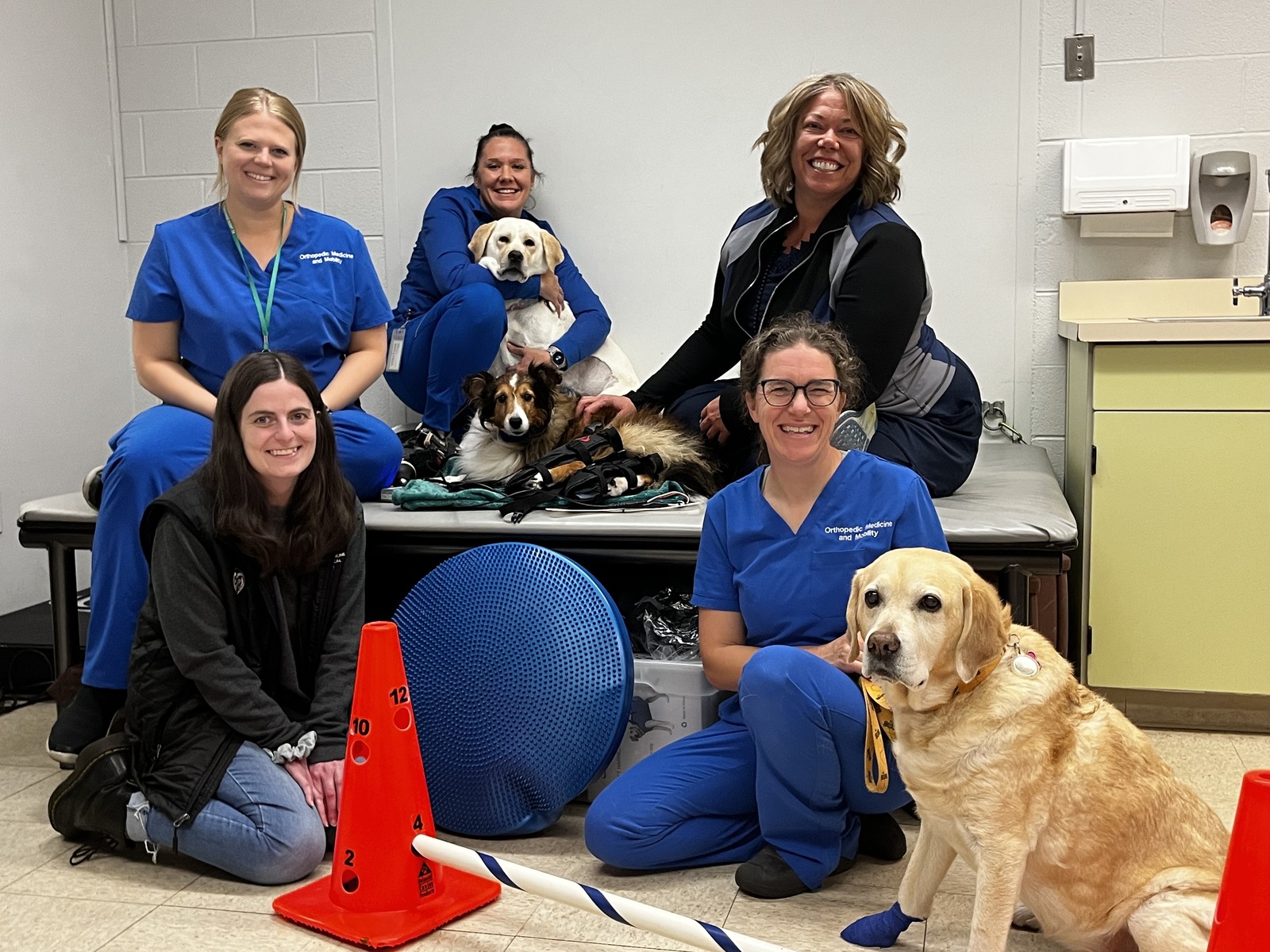 A group of six individuals gather in a clinical room with three dogs. Two dogs sit together on a padded exam table covered with a green towel and surrounded by medical equipment, while another dog stands on the floor at the front of the group. Several individuals are wearing blue medical scrubs, and others are dressed in casual or athletic clothing. In the foreground, an orange training cone, a balance disc, and a white-and-blue exercise bar are visible, suggesting a rehabilitation or therapy setting.