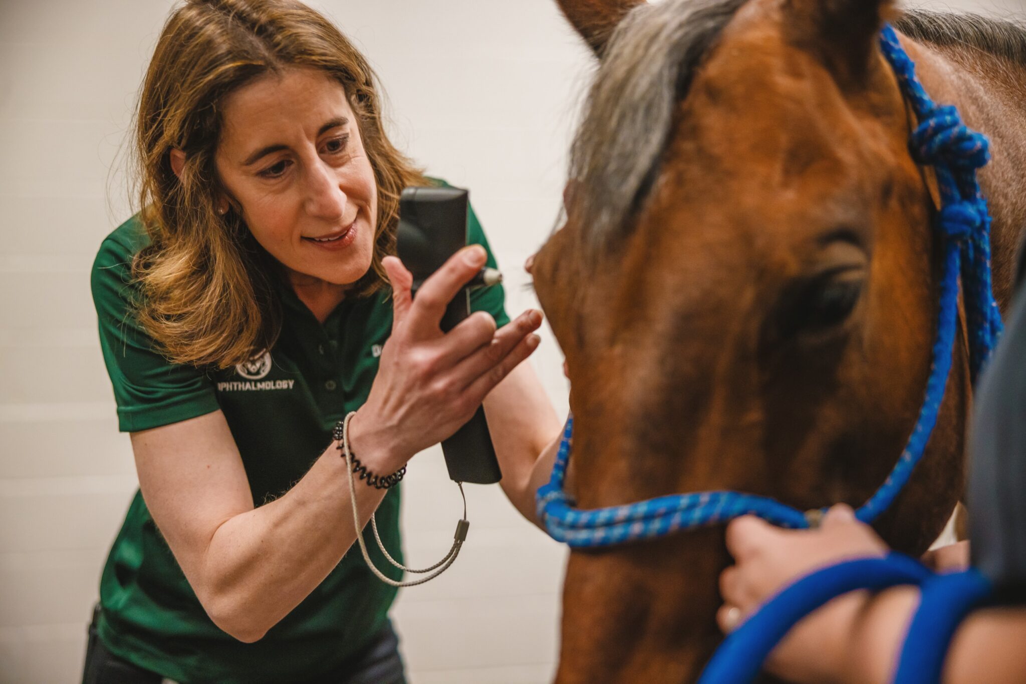 A person wearing a green polo shirt marked “Ophthalmology” holds a handheld diagnostic device up to a horse’s eye. The horse is fitted with a blue rope halter, and another individual steadies the horse from the side. The scene takes place in an indoor clinical setting with soft, even lighting.