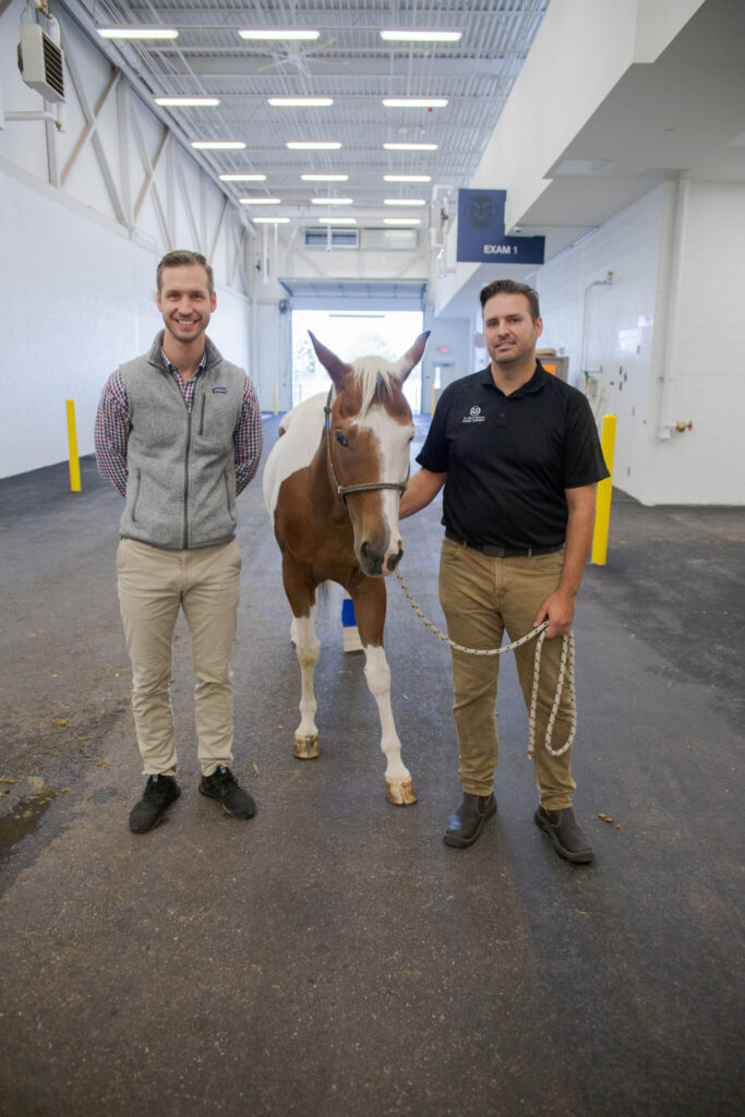 Two veterinarians hold the reins of a brown and white horse in the JFEH