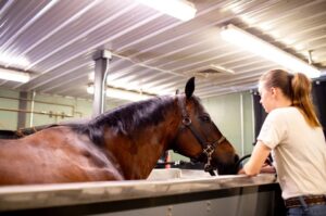 A technician pets and talks to one of the patients while they go through therapy