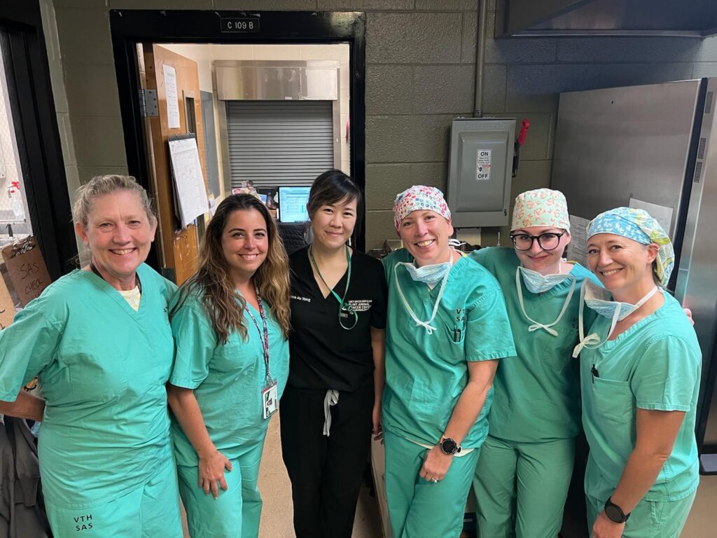 A group of five veterinary technicians in scrubs stand next to a veterinary surgeon in black scrubs