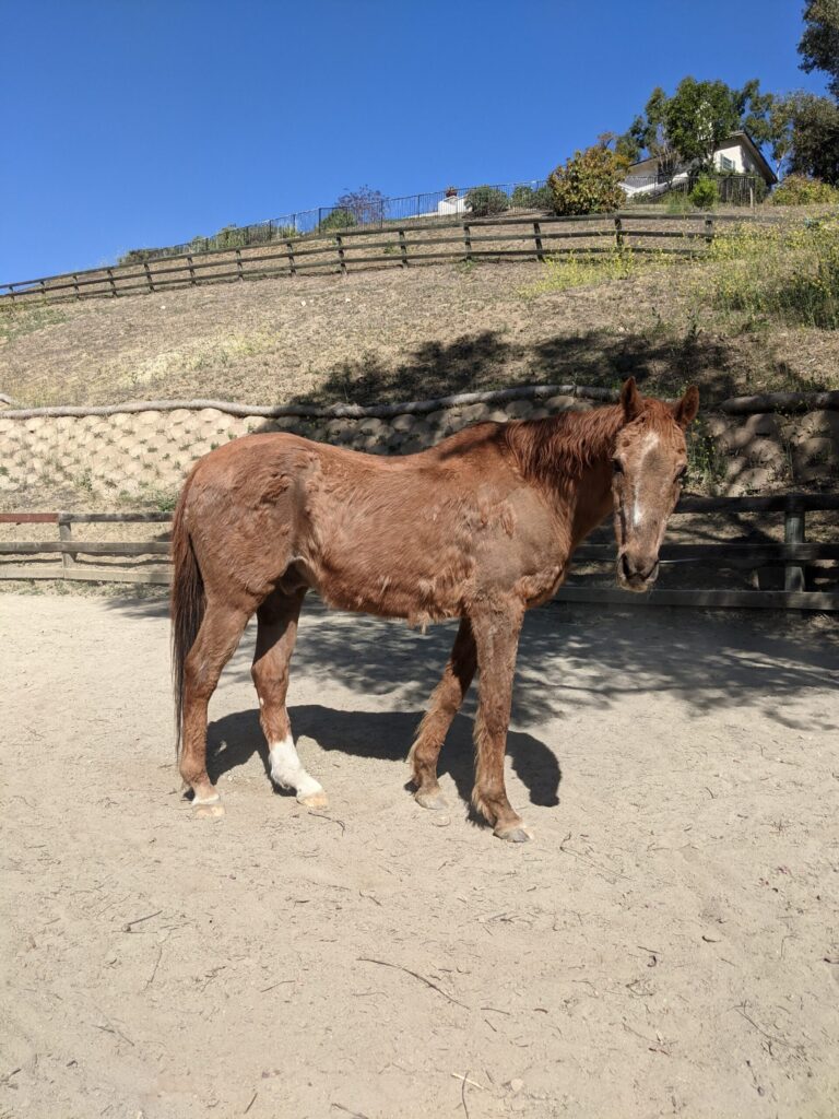 PXL 20210407 170651402.MP