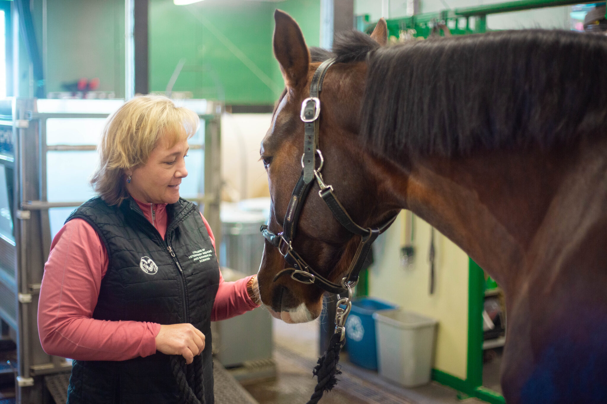 A person wearing a black vest over a long‑sleeve shirt stands beside a brown horse in a barn or veterinary facility. The person holds the horse’s lead rope while the horse faces them, wearing a bridle. The background includes green stall panels, equipment, and storage containers.