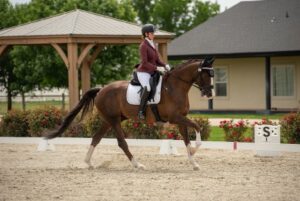 A trainer rides a brown horse before the patient had surgery