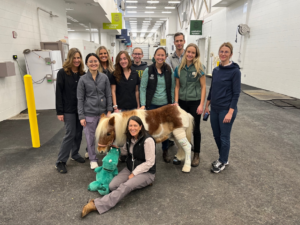 a group of hospital staff pose with patient they just helped in the equine hospital