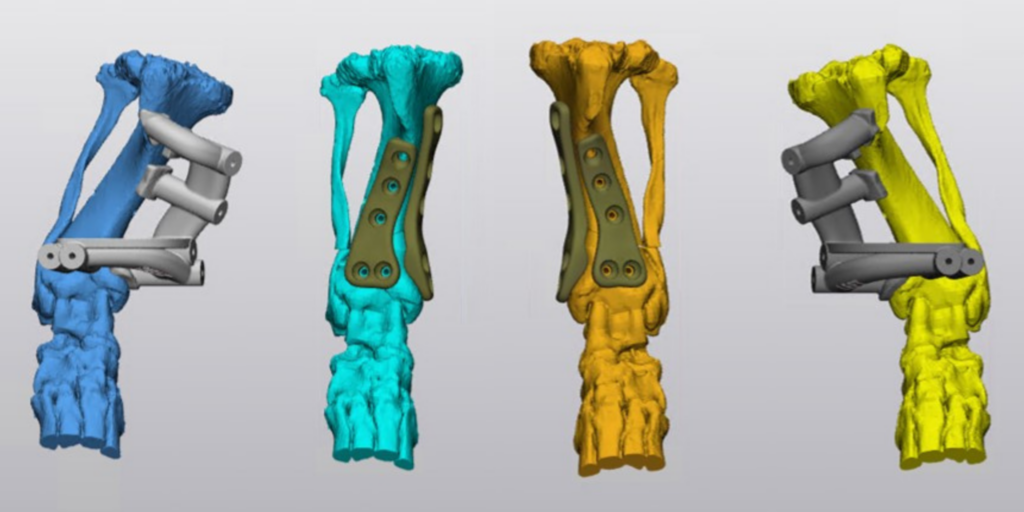Pre-operative computer-aided designs show the surgical guides (blue and yellow), and the custom plates (orange and teal). (CVMBS photo)