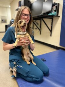 A vet tech holds a patient, dressed in teal scrubs