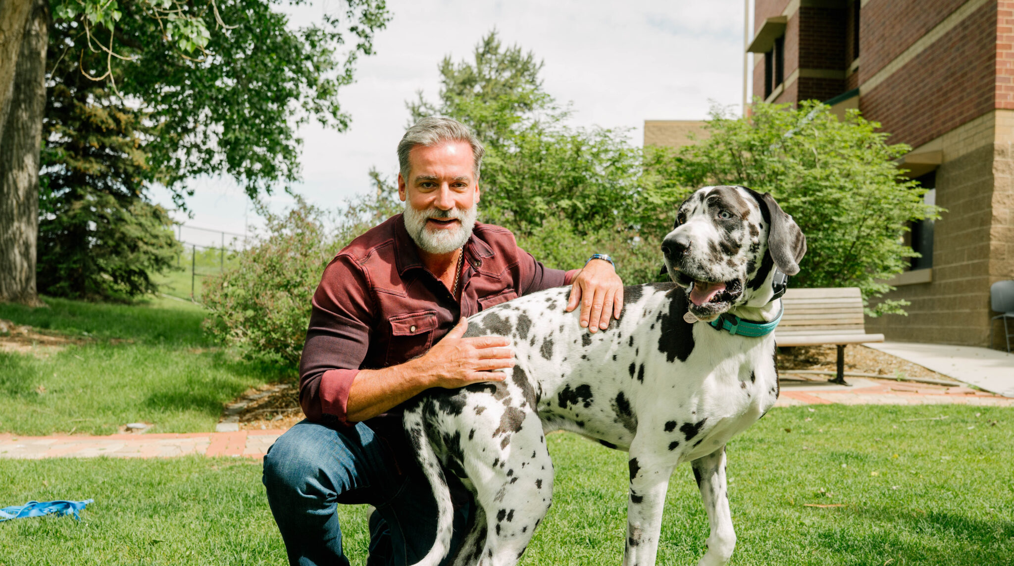a person with gray hair and a short gray beard, kneels with his black and white, polka great dane, outside in the summer time