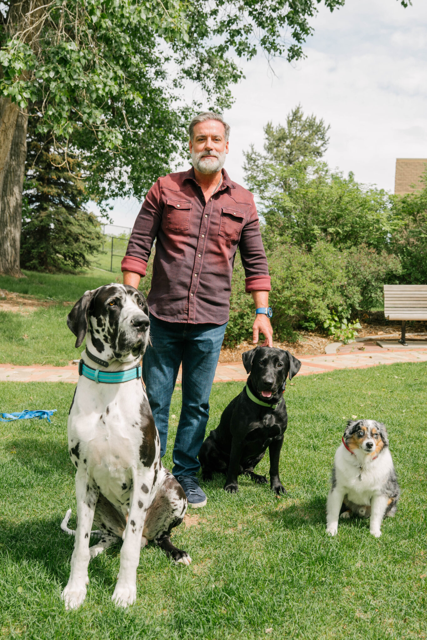 man standing in grass with his three dogs