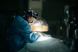 scrubbed in veterinarian operates on an animal