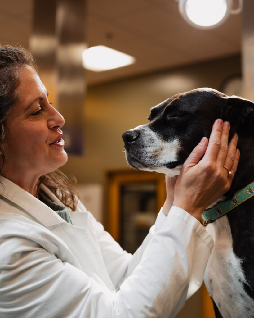 A pet with their owner at at the Veterinary Teaching Hospital