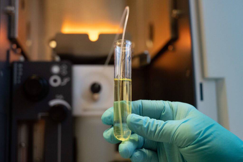 Looking at a liquid sample in a vial in the chemistry toxicology lab at the veterinary diagnostic laboratories