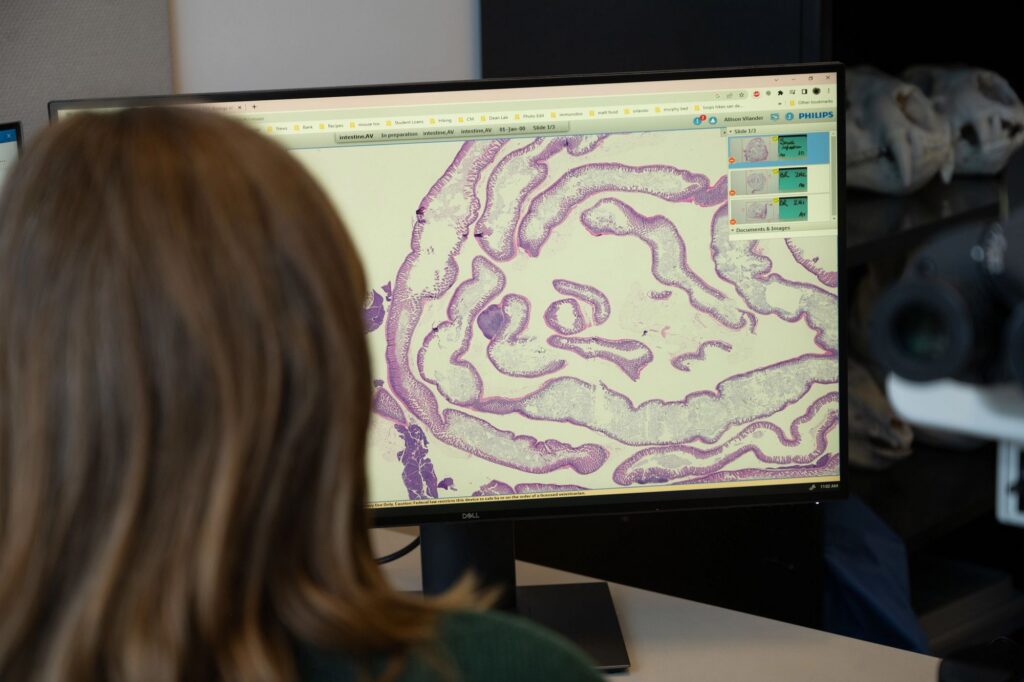 Looking at a pathology sample at the Veterinary Diagnostic Lab