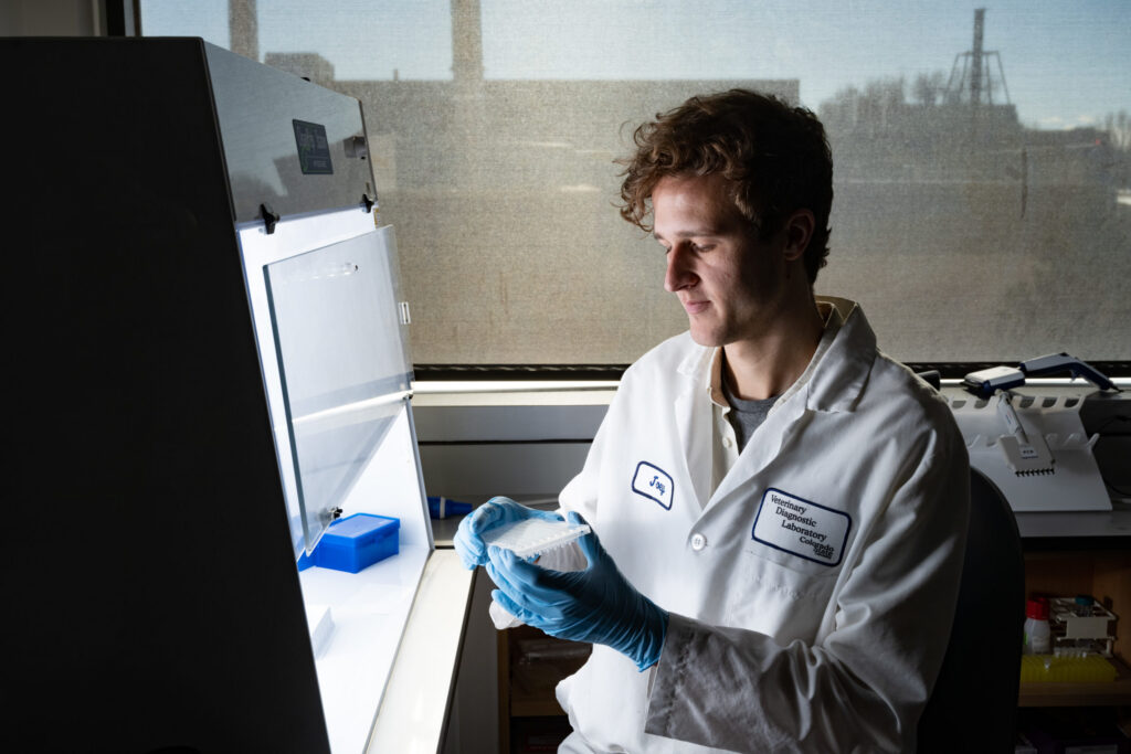 Man wearing coat and gloves putting samples under a hood in the molecular diagnostics section of the VDL