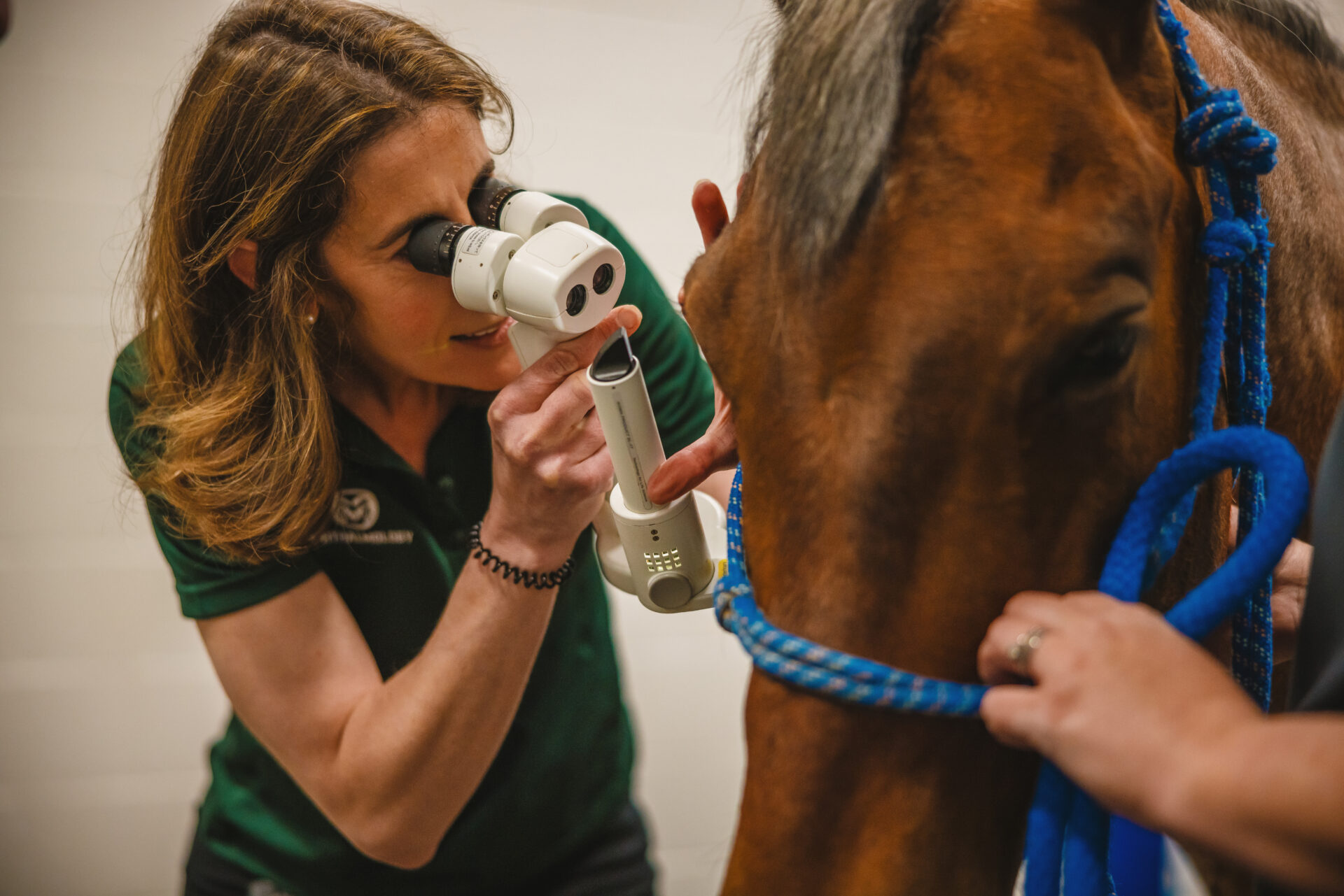 A person uses a handheld imaging device to examine a horse’s eye while another person holds the horse’s blue rope halter.