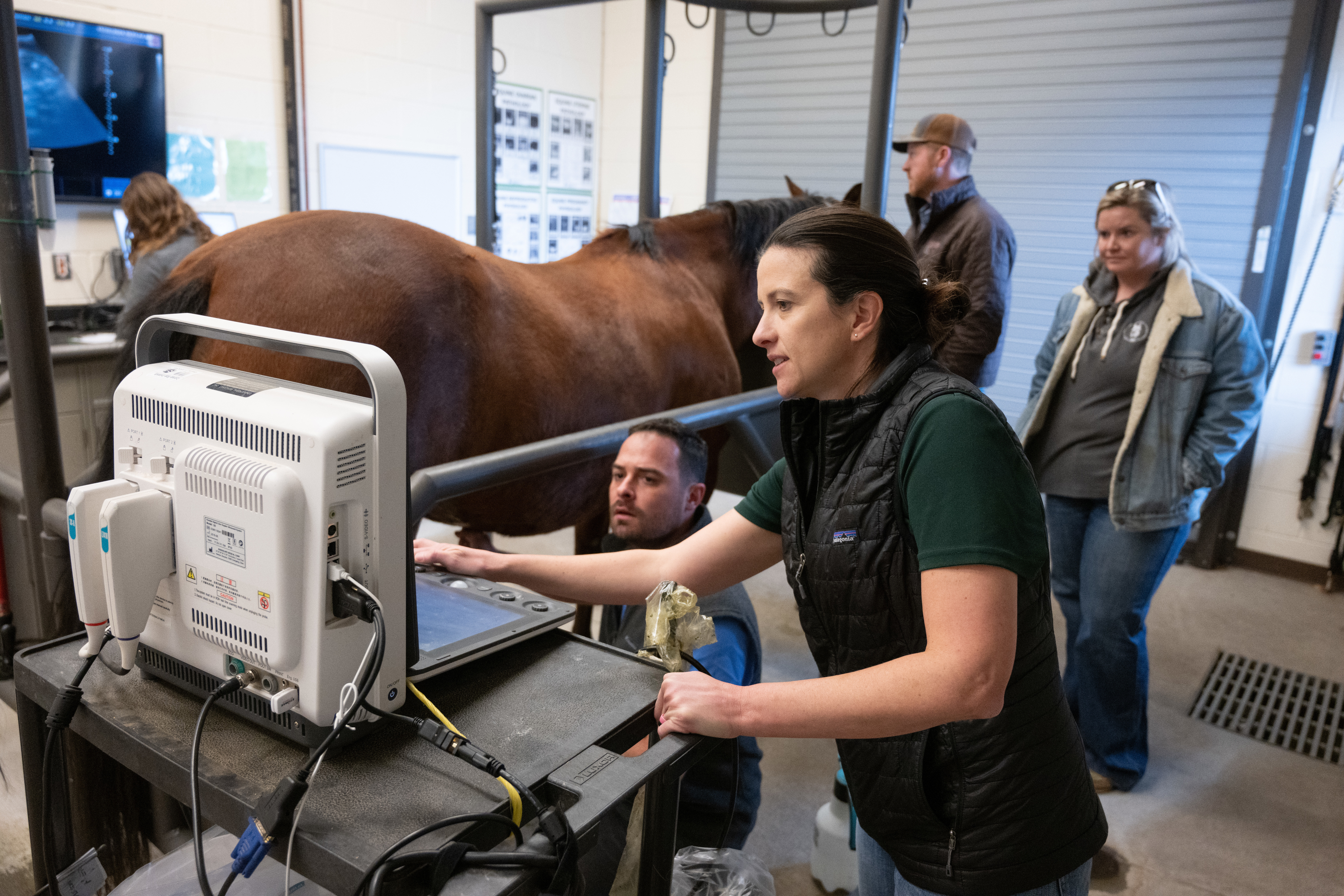 A person operates an ultrasound machine while another person positions a horse inside a clinical exam area, with additional individuals observing in the background.