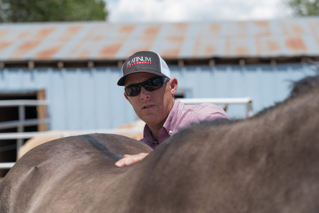 A person in a cap and button-up shirt examines a horse’s back in an outdoor barn area.
