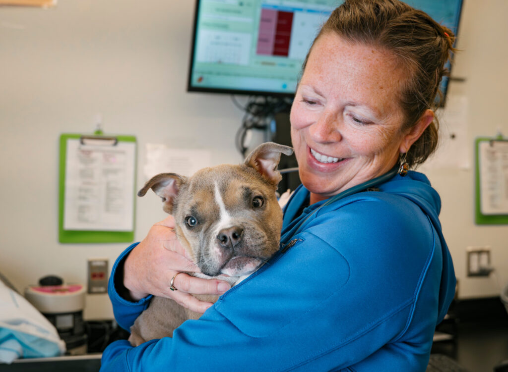 Dr. Hoyer holds a little dog at a dentistry appointment