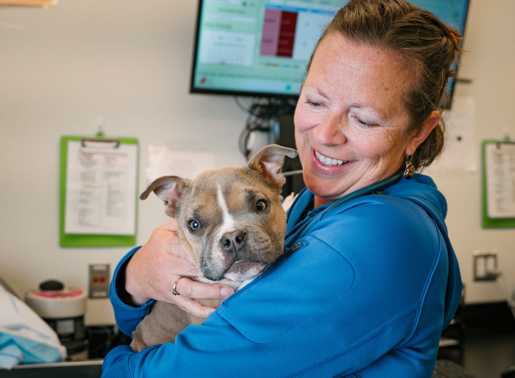 Dr. Hoyer holds a little dog at a dentistry appointment