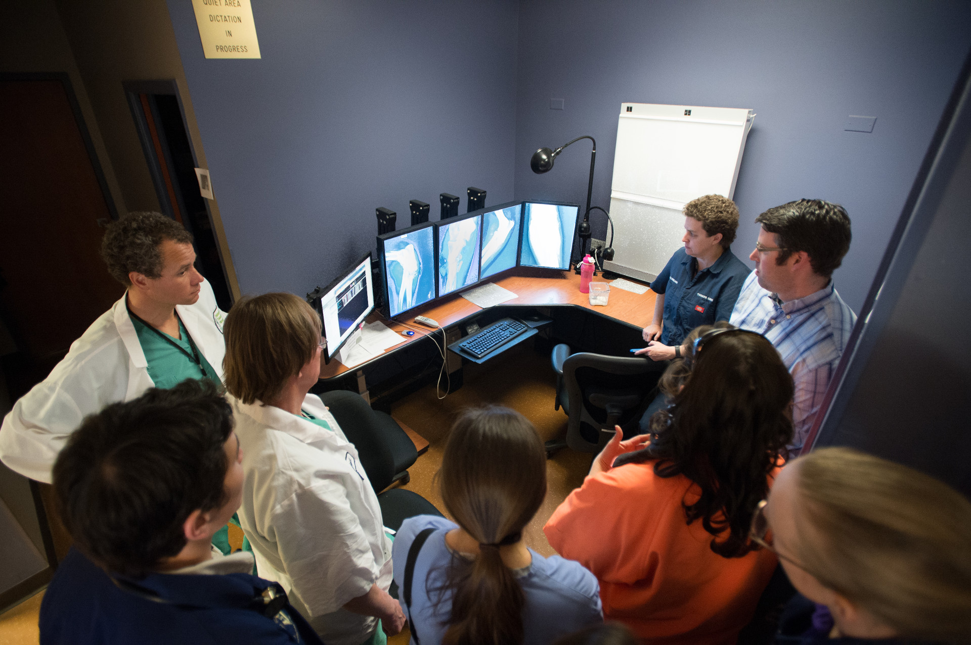 people crowd around screens to review radiographs of a bear