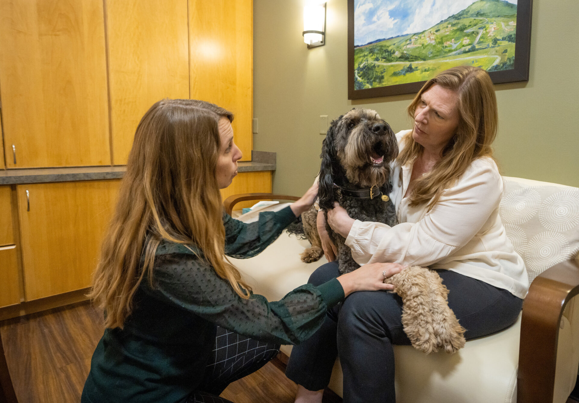 Two people sit with a large dog on a couch in a veterinary comfort room.