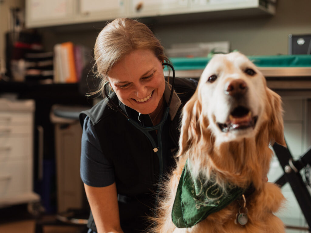a veterinary professional wearing a black vest listens to a golden retriever with a green bandana