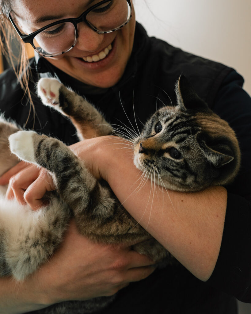 a cat being held by its owner