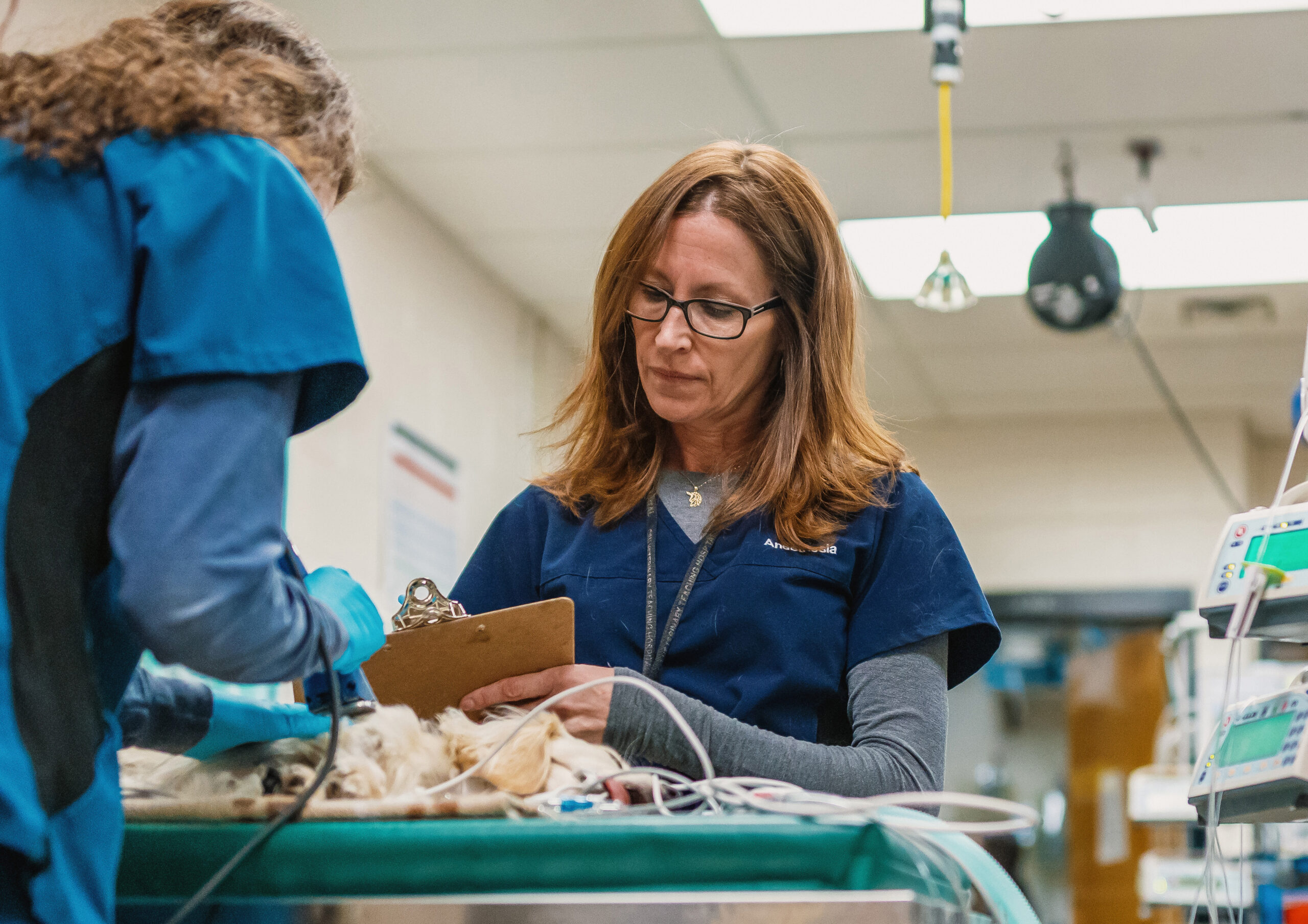 Two individuals in scrubs work over a small animal on an exam table, with one holding a clipboard and monitoring equipment in a clinical setting.