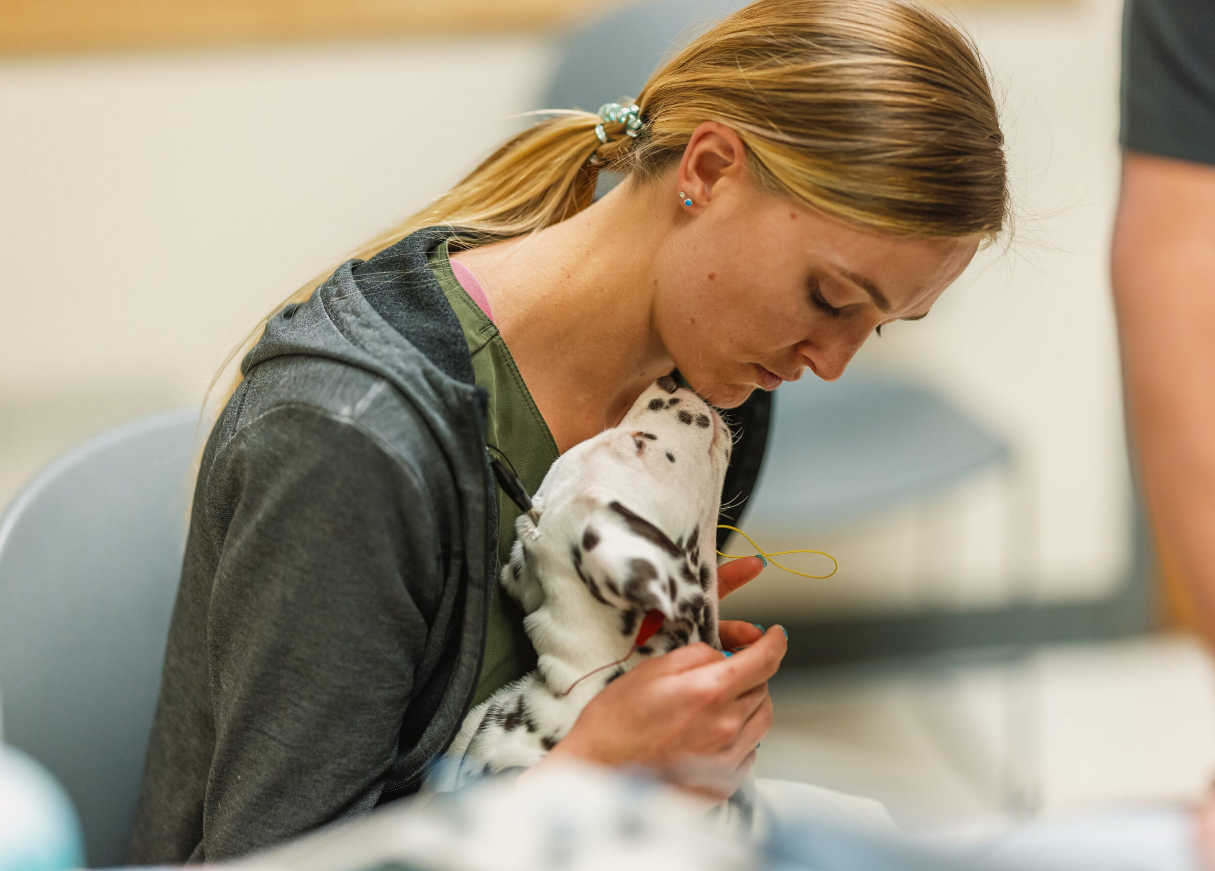 An individual wearing a dark zip-up hoodie sits in a chair and holds a small white puppy with black spots wrapped in a soft blanket. The person cradles the puppy closely against the upper chest, and the setting appears to be an indoor clinical or office environment with neutral-colored chairs and walls in the background.