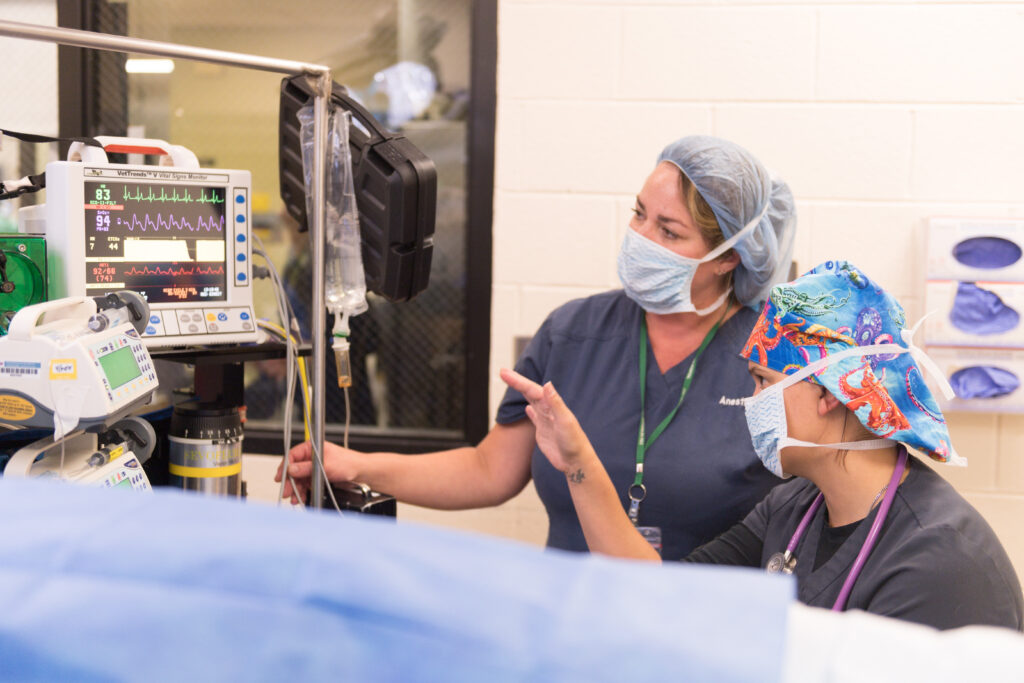 two women wearing scrubs pointing to anesthesia machine