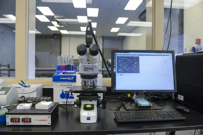microscope to the left of a computer on a desk