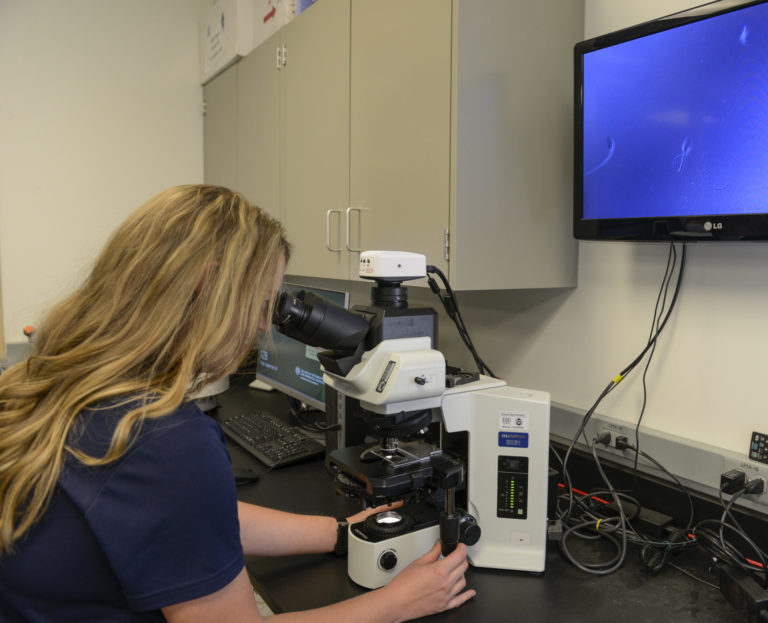 woman looking into a microscope