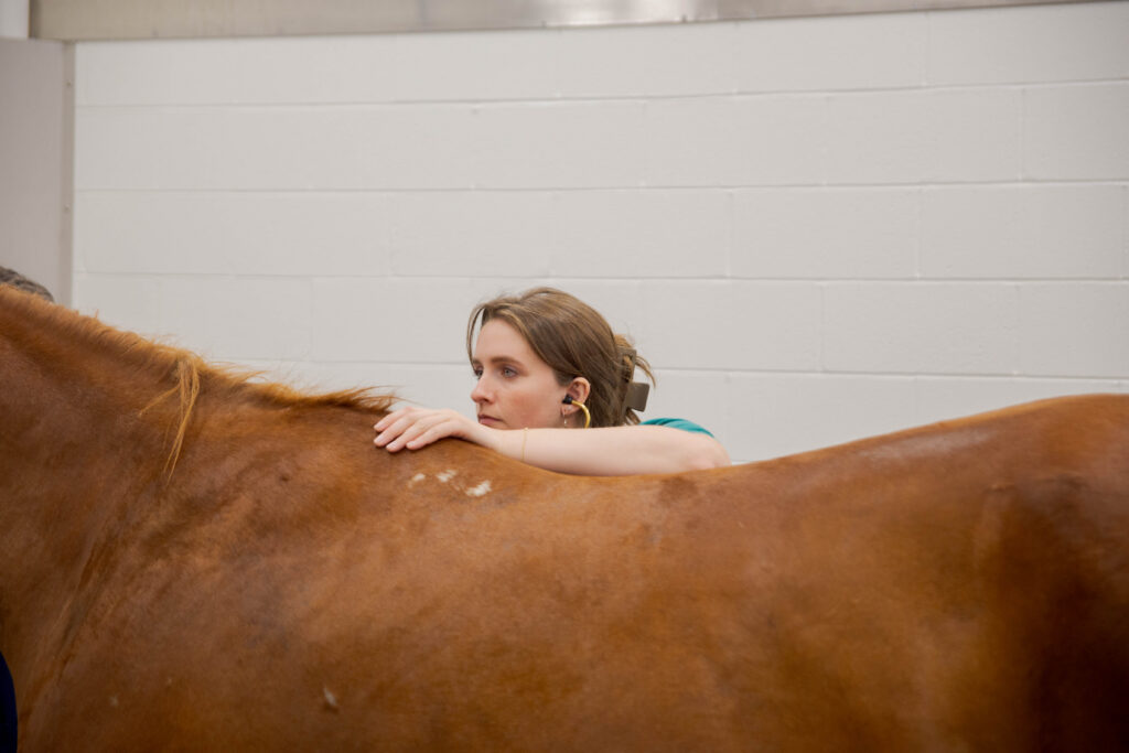 Equine Internal Med