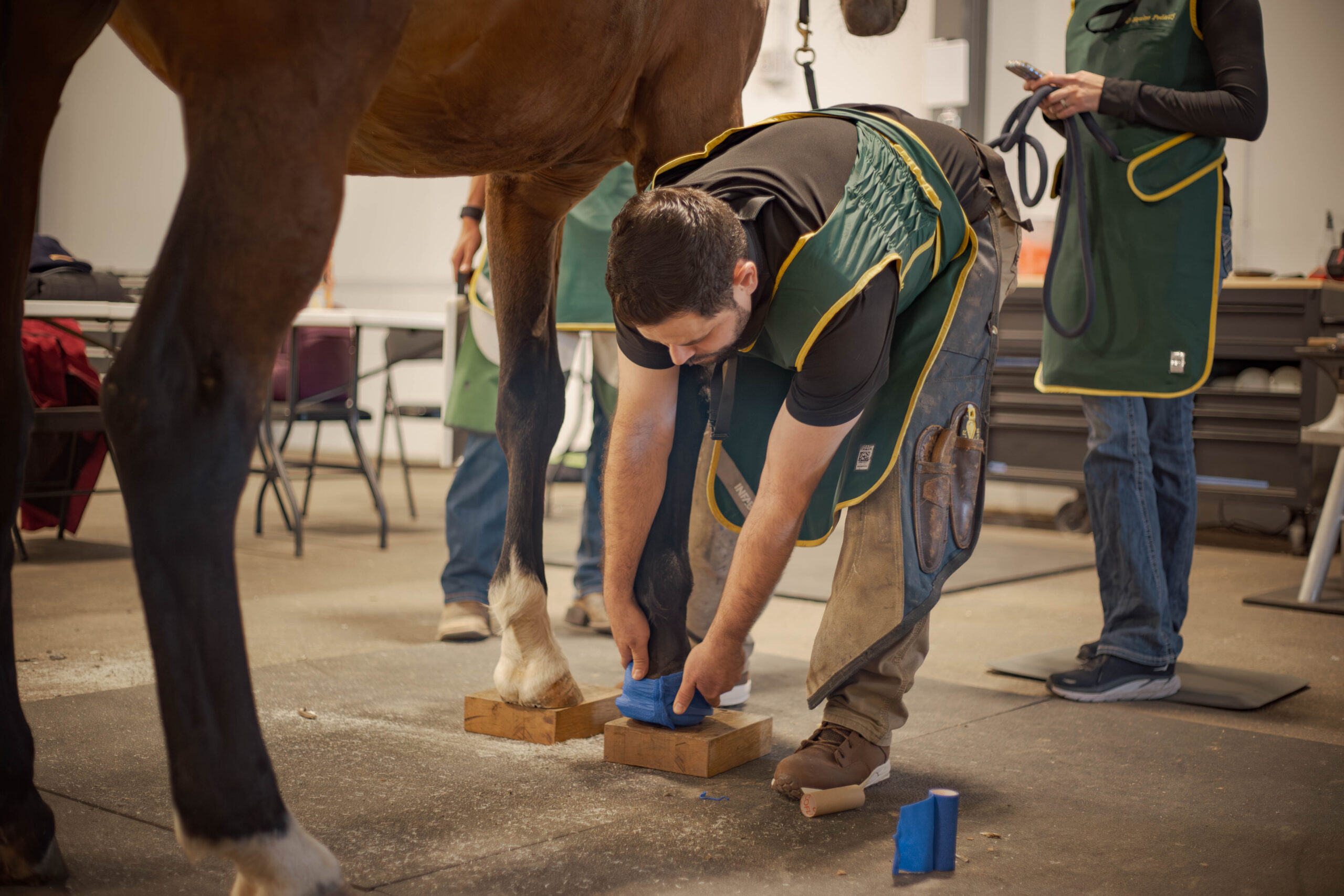 man bending over to work on a horse's hoof