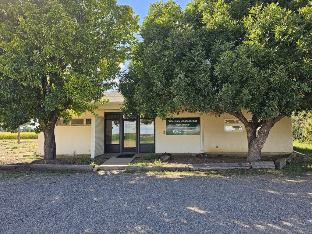 tan building with some trees in front of it
