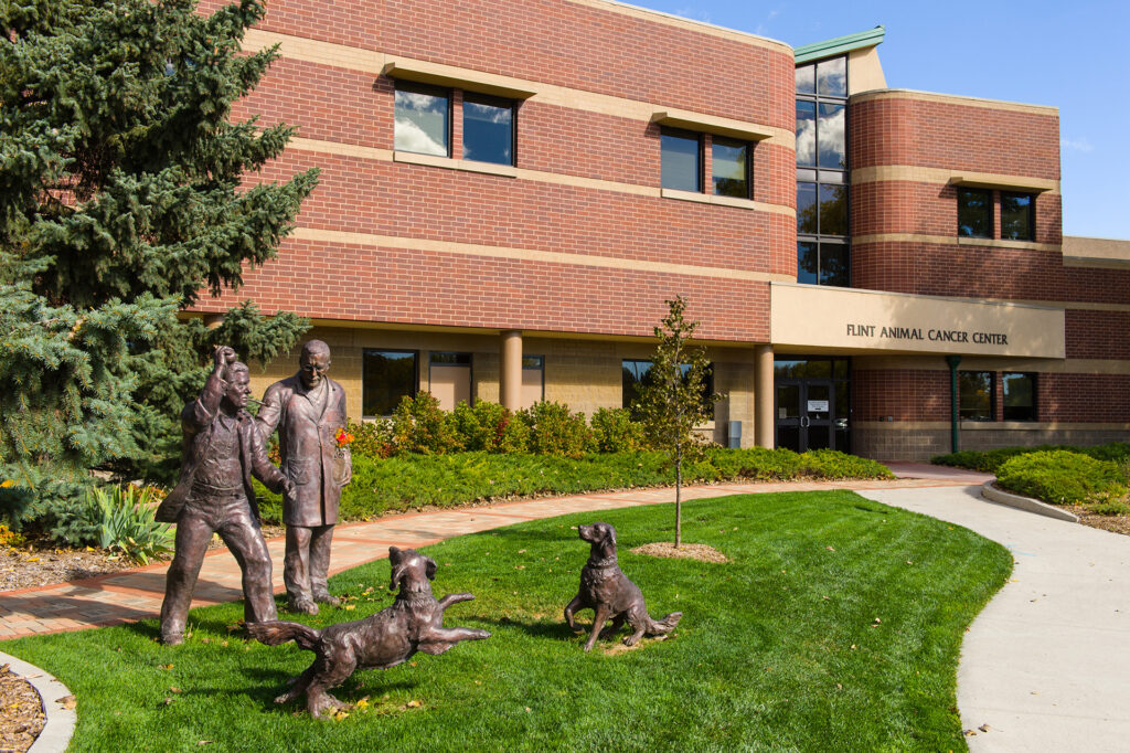 A brick building labeled “Flint Animal Cancer Center” stands behind bronze statues of two people and two dogs on a landscaped lawn.
