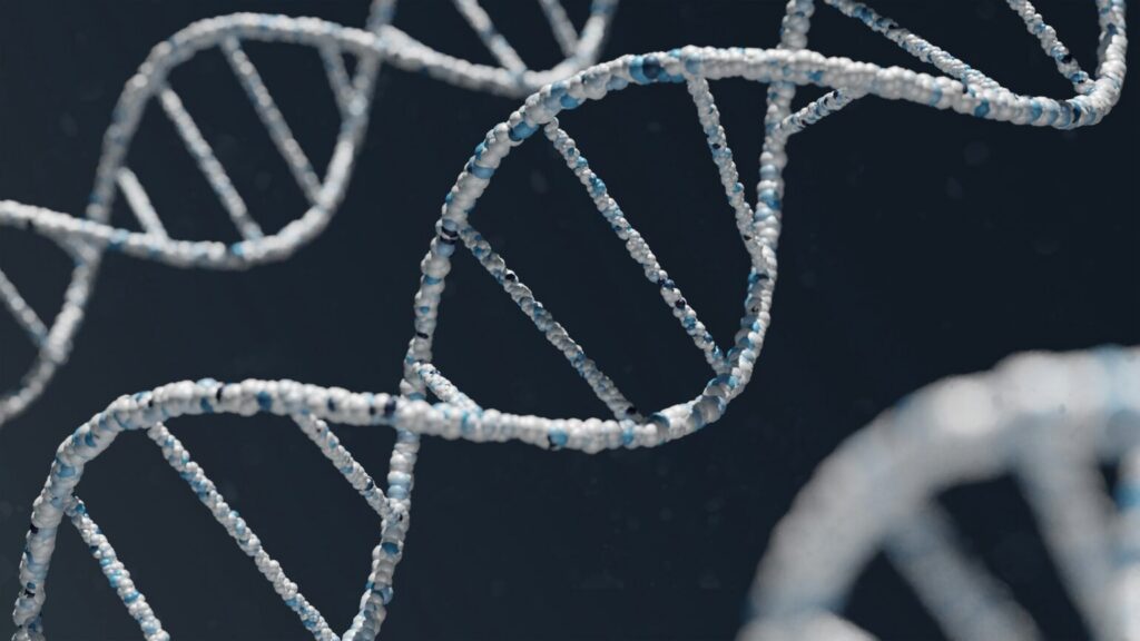 digital image of DNA
