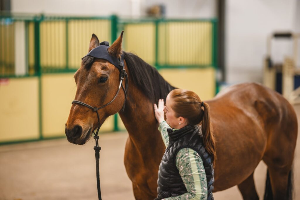 05 15 CVMBS Equine Hospital