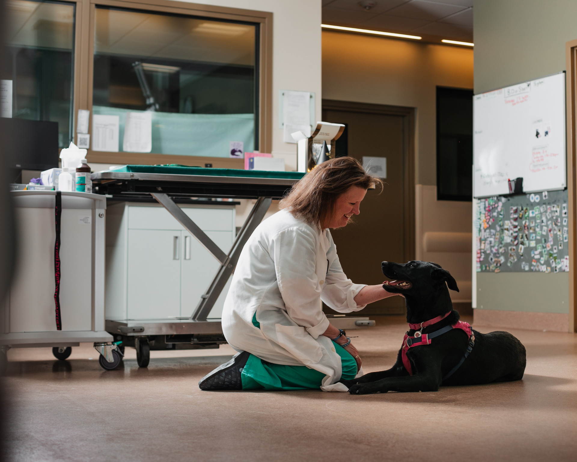 A pet with their owner at at the Veterinary Teaching Hospital