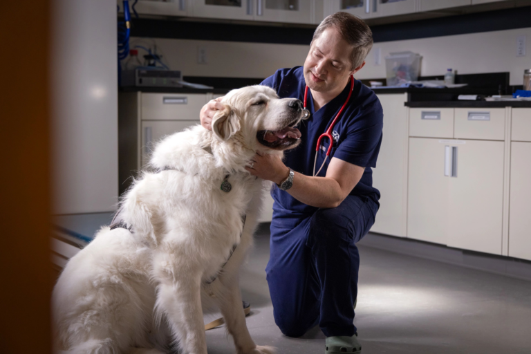 man wearing blue scrubs petting a yellow lab