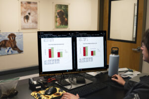 data graphs on a computer screen