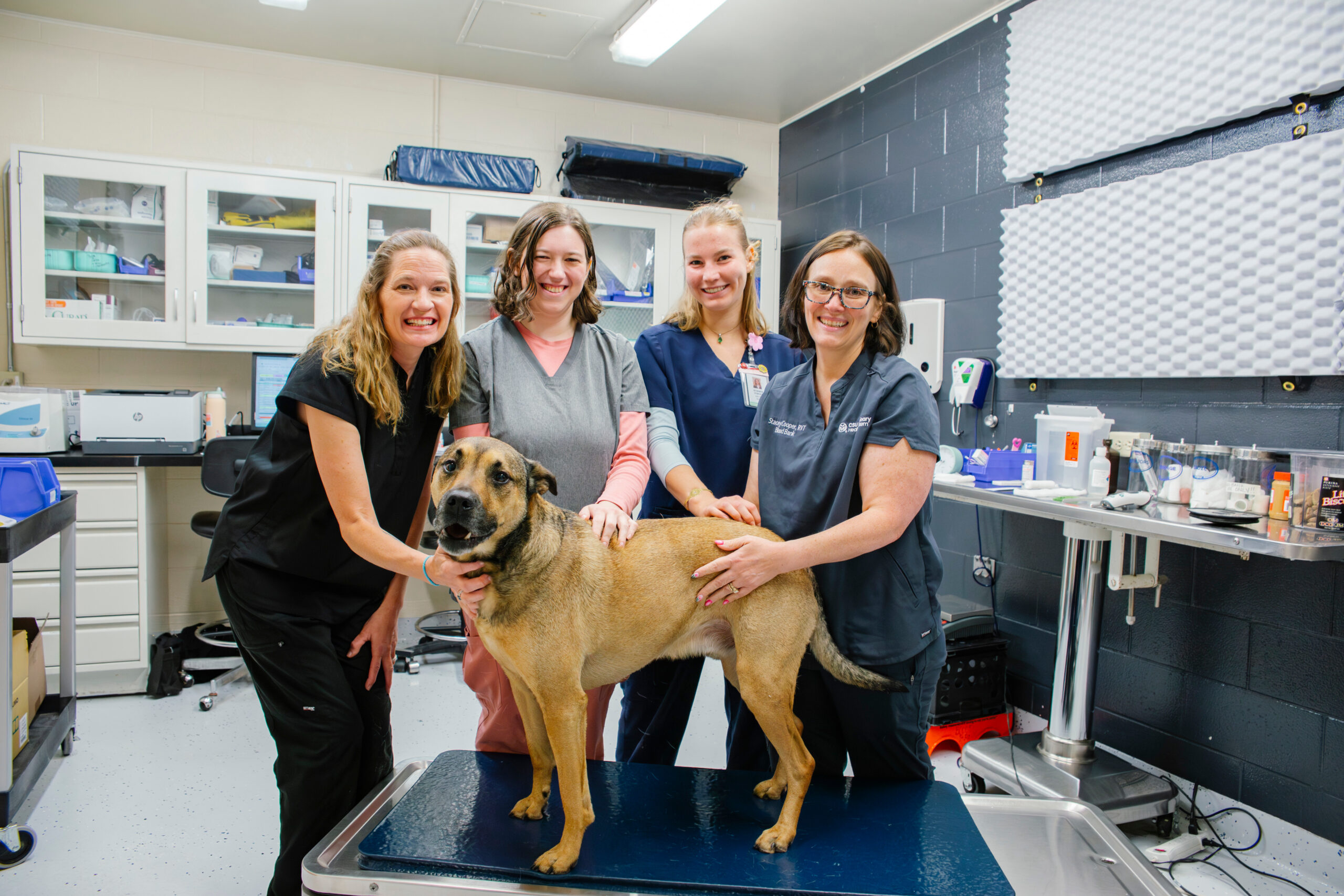 VHS Blood Bank team taking a photo with Remus, a 5-year-old German shepherd who has been a blood donor for a year.