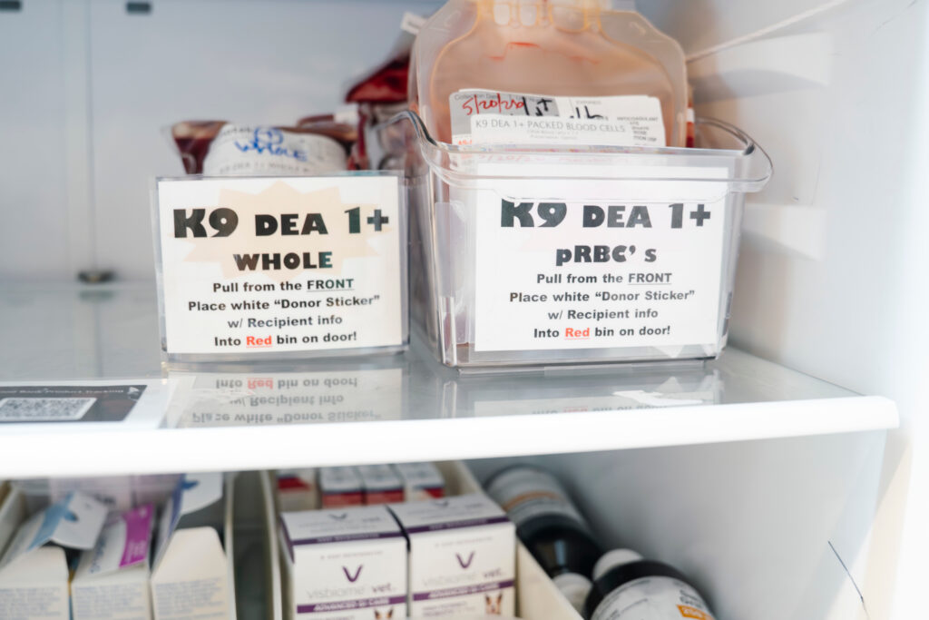 Stored canine whole blood and packed red blood cells