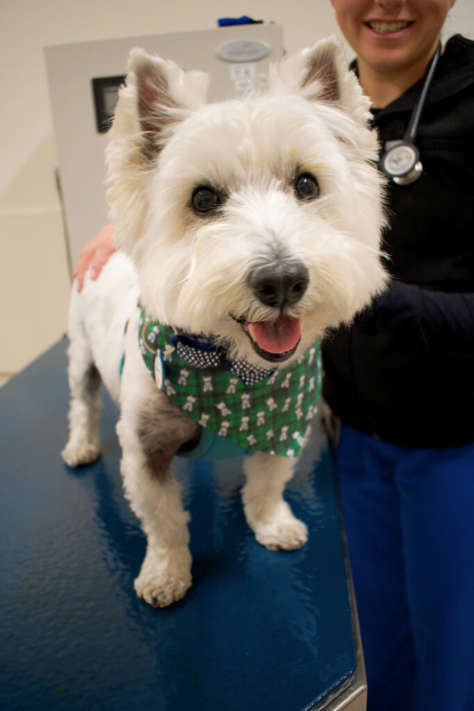 George at an eye appointment after his cataract surgery.