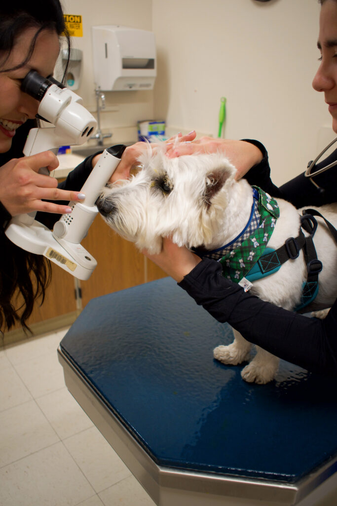 George at his eye appointment after he has received cataract surgery