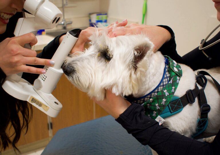 George at eye appointment after cataract surgery